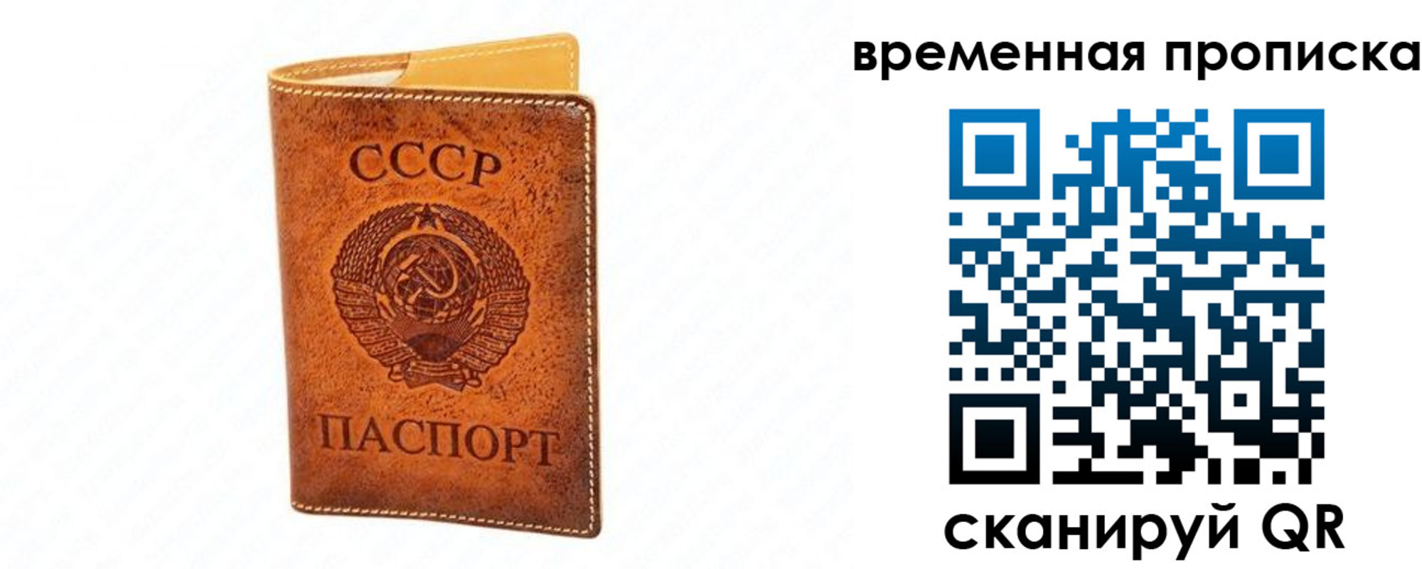временная прописка в Похвистнево